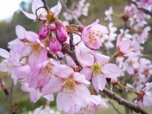 20100316211520.jpg